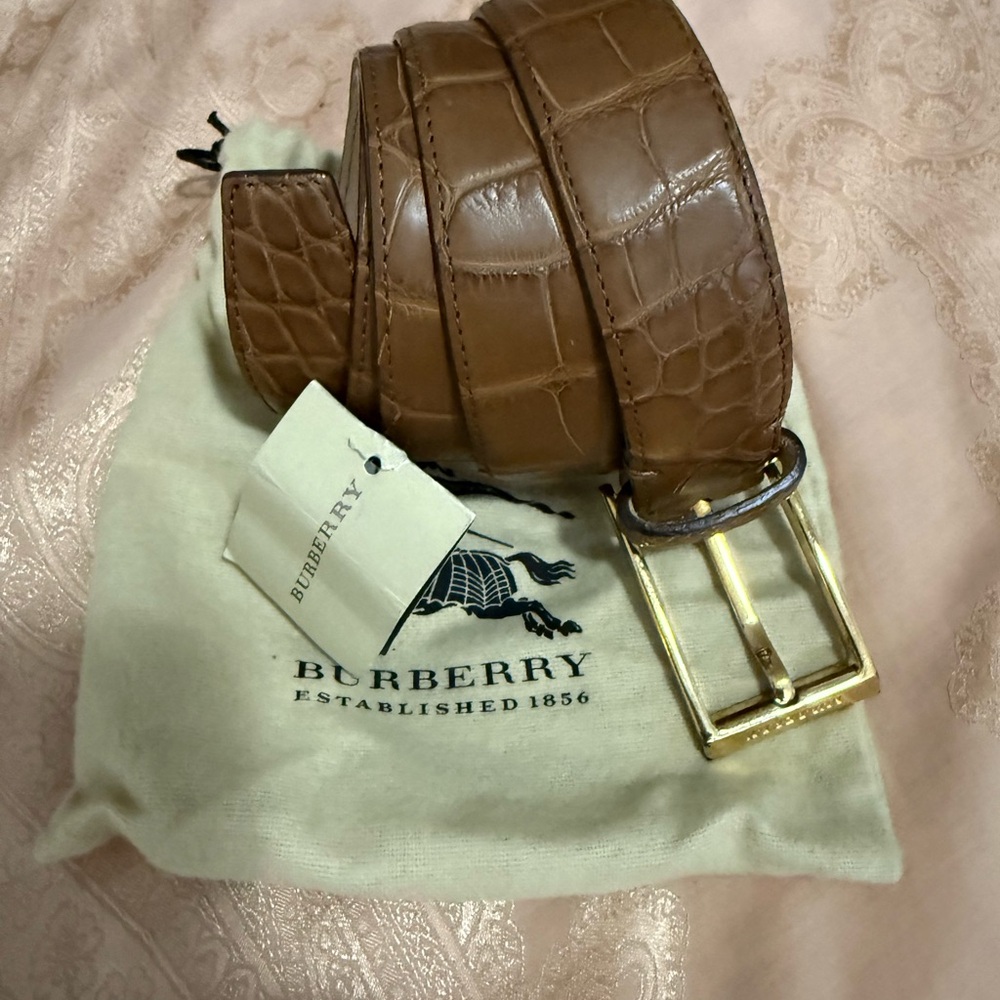 Burberry Brown Belt Bag with Signature Design - Picture 6 of 8